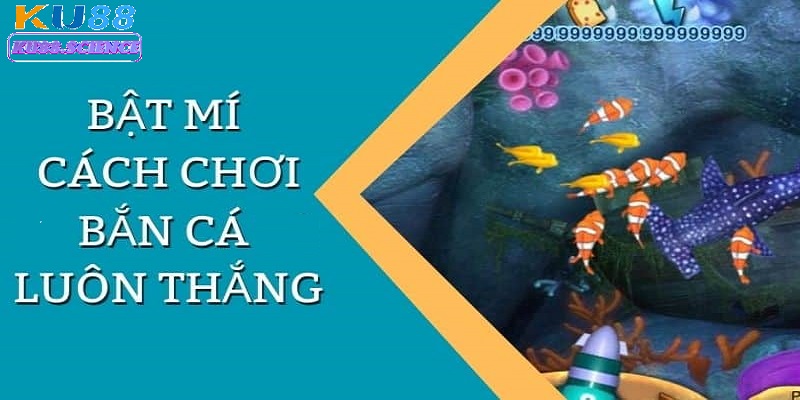 Bật Mí Mẹo Chơi Bắn Cá Luôn Thắng Mà Cao Thủ Ít Khi Tiết Lộ 1 Mẹo chơi bắn cá luôn thắng