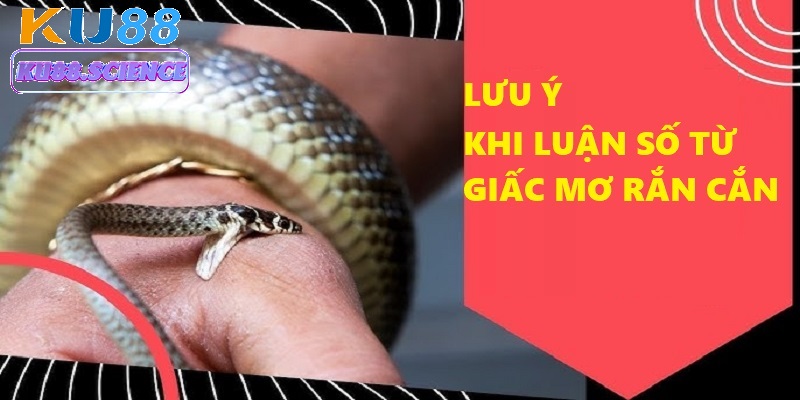 Mơ thấy rắn cắn - Giải mã giấc mơ và con số may mắn tại Ku88 4 Bạn cần kết hợp giữa ghi nhớ giấc mơ với bảng soi cầu của Ku88 để chọn số