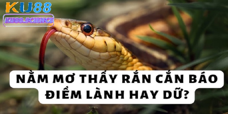 Mơ thấy rắn cắn - Giải mã giấc mơ và con số may mắn tại Ku88 2 Mỗi giấc mơ thấy rắn cắn của bạn đều có ý nghĩa sâu xa