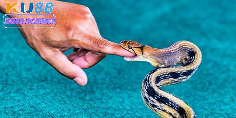 Mơ thấy rắn cắn - Giải mã giấc mơ và con số may mắn tại Ku88 3 Giải mã từng tình huống mơ thấy rắn để nắm bắt cơ hội chơi lô đề chuẩn xác