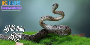Mơ thấy rắn cắn - Giải mã giấc mơ và con số may mắn tại Ku88 3 Mơ thấy rắn cắn